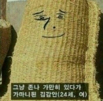 그냥 존나 가만히 있다가 가마니된 김갑안 24세 여 살가마니