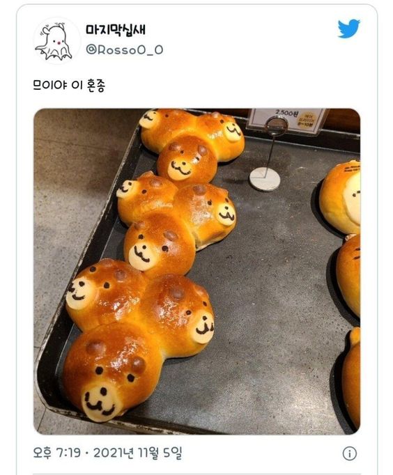 실패 빵만들기 곰 세마리가 한몸에 있어 혼종