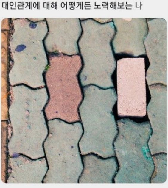 대인관계에 대해 어떻게든 노력해보는 나 인도 벽돌 도로