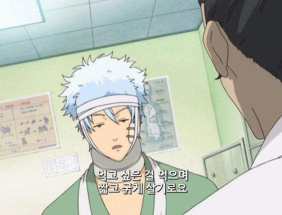 먹고 싶은걸 먹으며 짧고 굵게 살기로요 짧고굵게