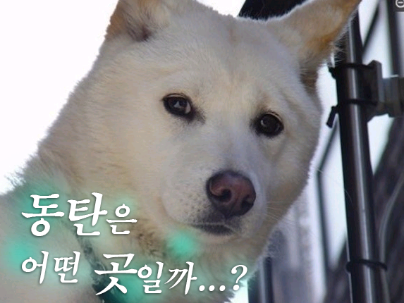 동탄 동탄은 어떤 곳일까