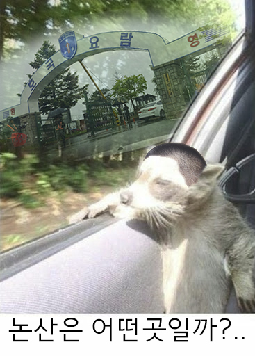 논산은 어떤곳일까? 너구리 논산 어떤곳