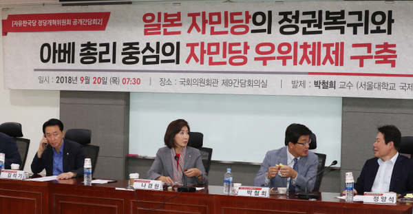 나경원 일본 자민당 정권복귀와 아베 총리 중심의 우위체제 구축 국회의원 정치 국민의힘 나베 매국