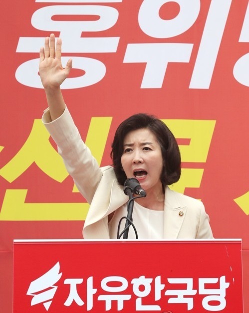 나경원 자유한국당 정치짤 나경원짤 선거