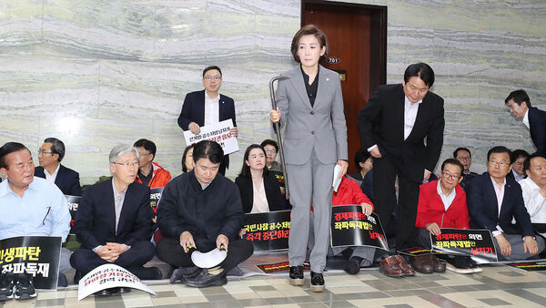 나경원 빠루 난동 국회의원