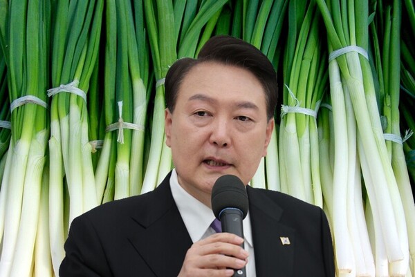대파 배경 윤석열 대통령 가격 875원 대파가격