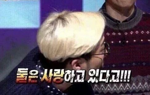 둘은 사랑하고 있다고 사랑 두사람