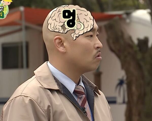 멍 멍청 뇌가 없어 생각 길 무도 무한도전 뇌구조