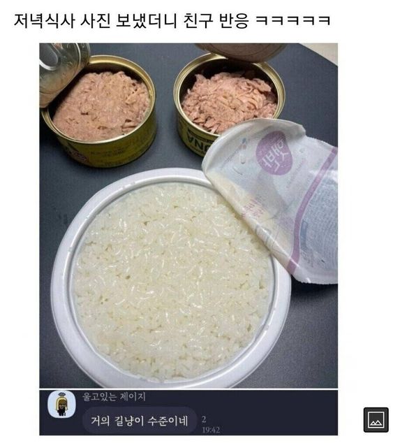 저녁 사진 보냈더니 친구 반응 거의 길냥이 수준이네 냥이 고양이 햇반 참치캔