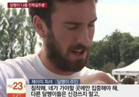 달팽이 주인 침착해 집중 신경쓰지마 집중해 신경꺼