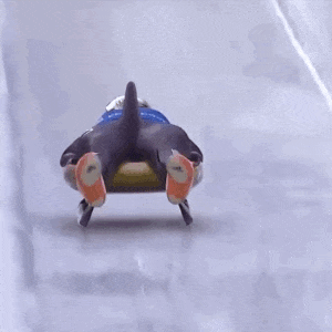 섯어 스켈레톤 우람