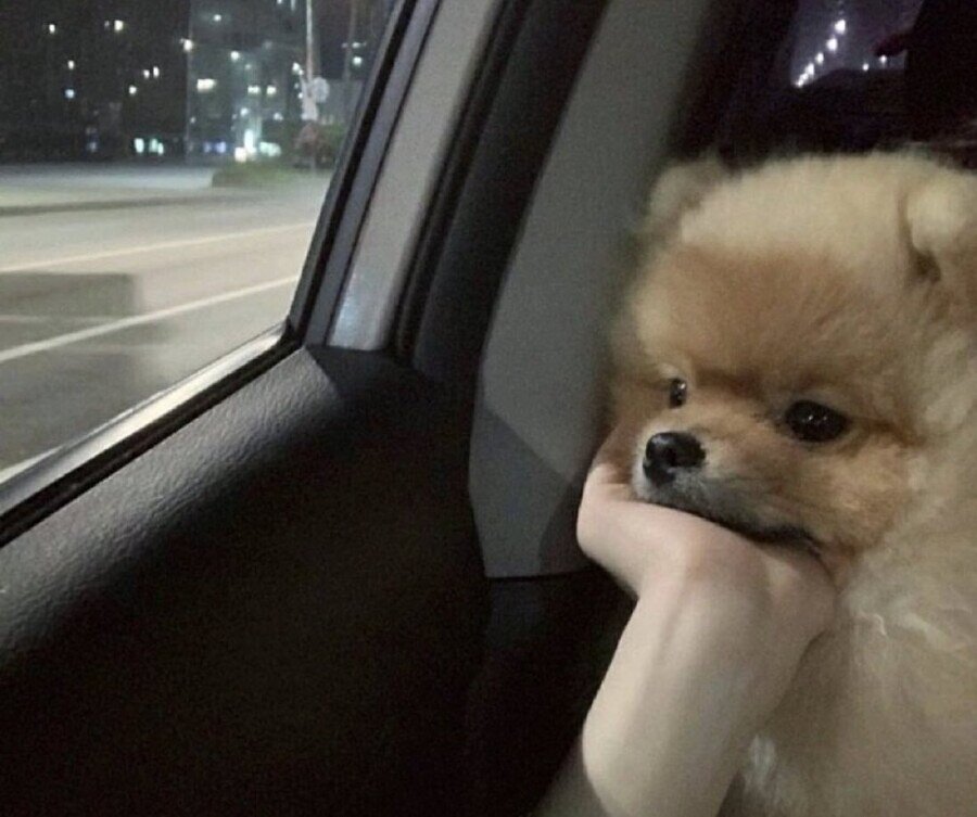 동탄은 어떤 곳일까.. 원본