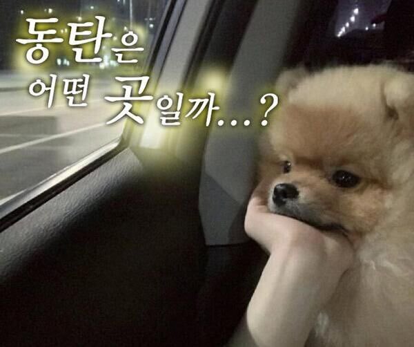 semojjal_20240627_667cd838c946c