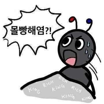 몰빵해여 몰빵 주식 투자 코인 개미 개미짤