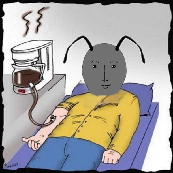 코리앤트 수혈 커피 주식 망함 카페인