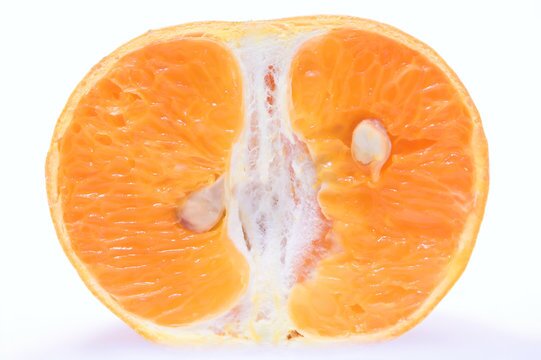 오렌지 과일 단면 사진