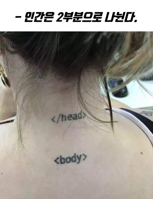 개발자 문신 html head body 인간은 2부분으로 나뉜다 개발자짤 개발자밈 프로그래밍 프로그래머