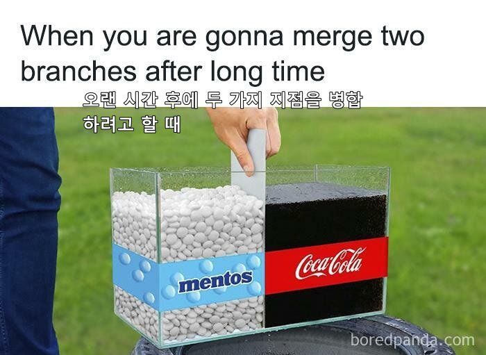 개발자 오랜 시간 후에 두 가지 지점을 병합 하려고 할 때 코카콜라 멘토스 폭발 개발자짤 개발자밈 프로그래밍 프로그래머