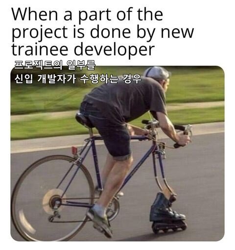 개발자 프로젝트의 일부를 신입 개발자가 수행하는 경우 개발자짤 개발자밈 프로그래밍 프로그래머