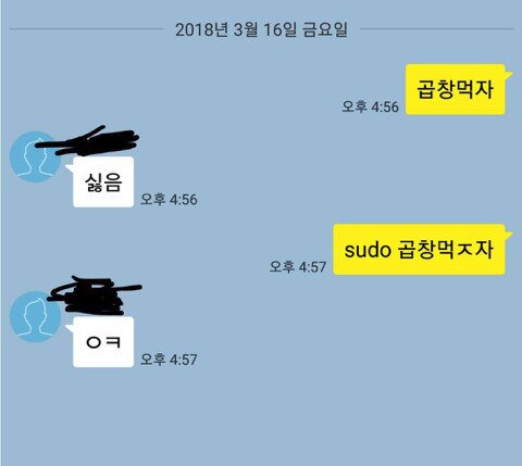 서버 관리자 개발자 곱창먹자 싫음 sudo 곱창먹자 ㅇㅋ 최고관리자 개발자짤 개발자밈 프로그래밍 프로그래머