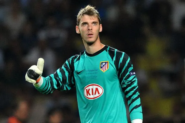 다비드 데 헤아 축구선수 축구 유로 빅리그