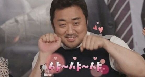 마동석 샤샤샤 귀요미 마블리