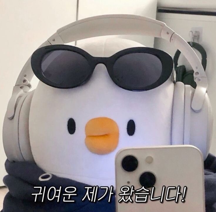 귀여운 제가 왔습니다