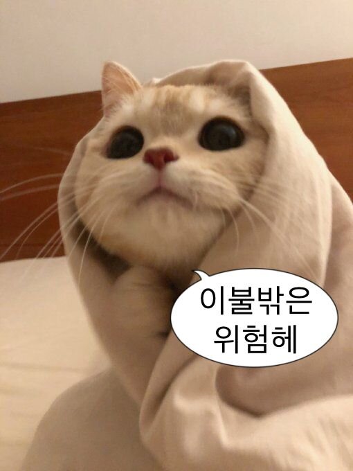 이불밖은 위험해