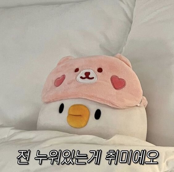 전 누워있는게 취미에요