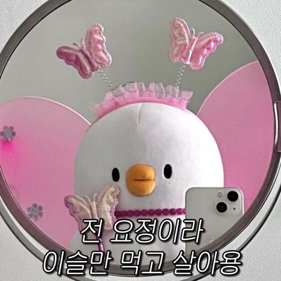 전 요정이라 이슬만 먹고 살아용