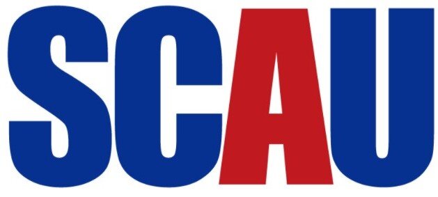 디지털서울문화예술대학교 대학교 로고