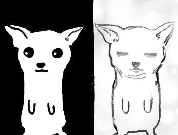 치와와 개 힘듦 피곤 일