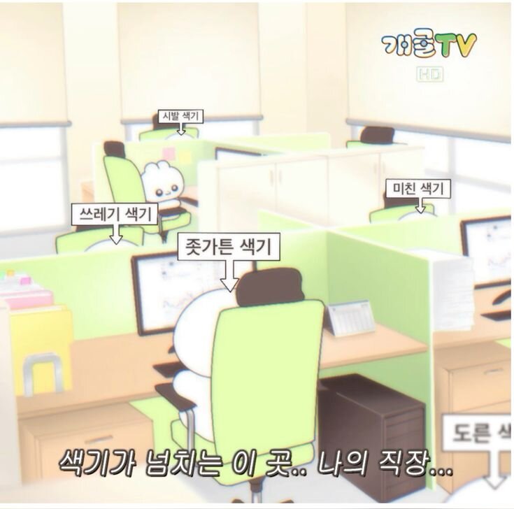 회사짤 회사 직장 회사원 색기가 넘치는 이 곳 나의 직장 쓰레기 좃가튼 미친 시발 색기