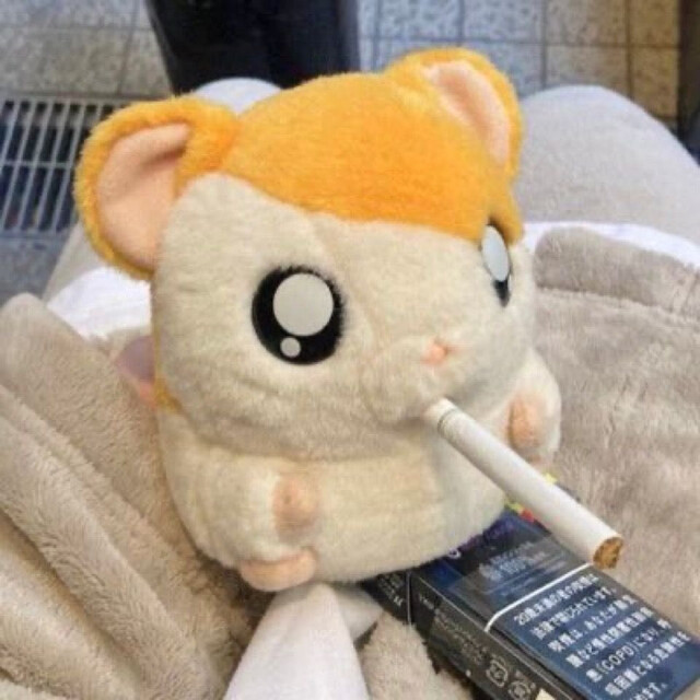 방가방가 햄토리 담배 후인생