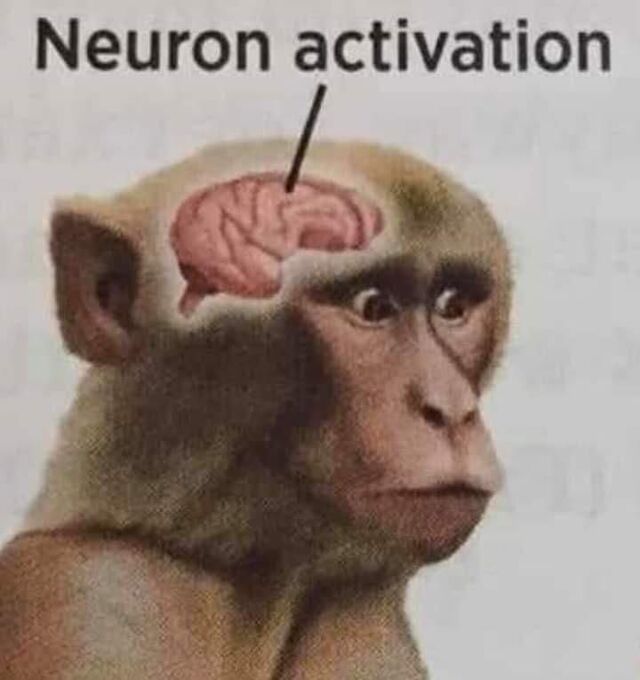 뉴런 활성화 밈짤 음란마귀 neuron activation