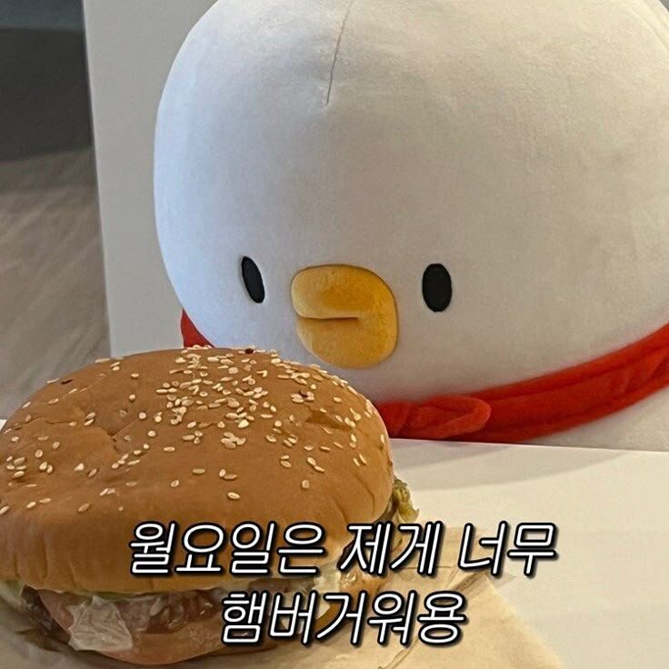 일요일은 제게 너무 햄버거워용