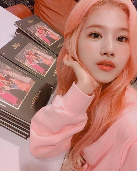 TWICE 사나 아이돌 걸그룹 Kpop 여자아이돌