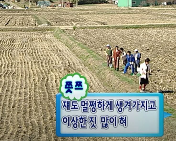 멀쩡하게 생겨가지고 이상한짓 많이혀 또라이 무도 무한도전