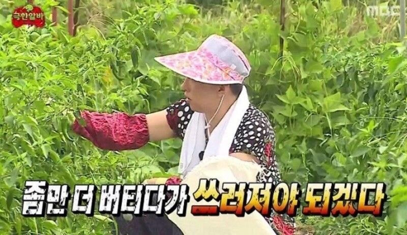 좀만 더 버티다가 쓰러져야 되겠다 박명수 직장 회사