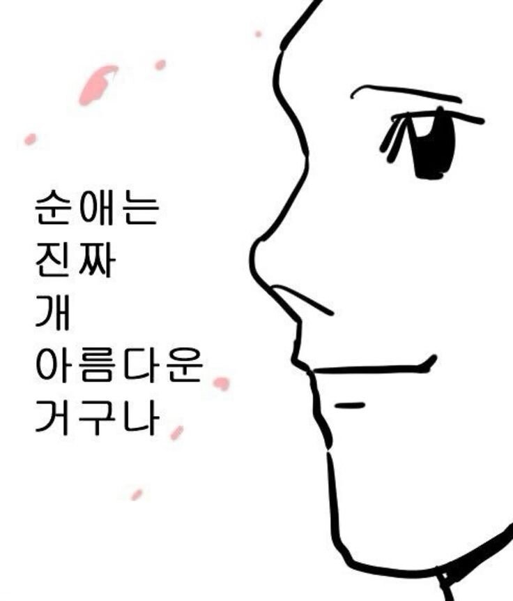 순애는 진짜 개아름다운 거구나