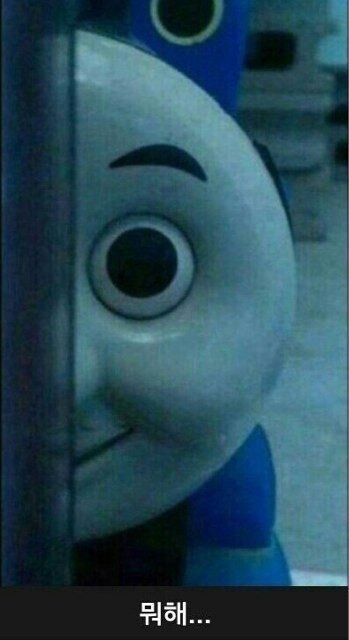 뭐해 토마스 눈깔 머해