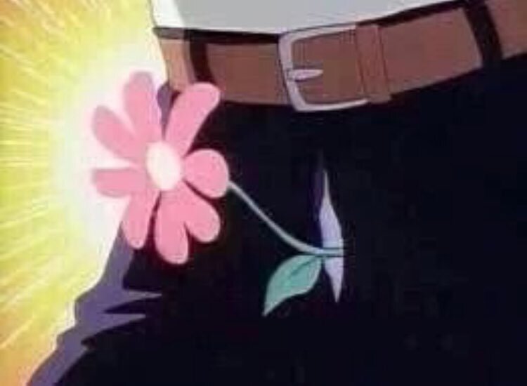 바지 지퍼 꽃이 나옴 병맛 꽃이 그곳