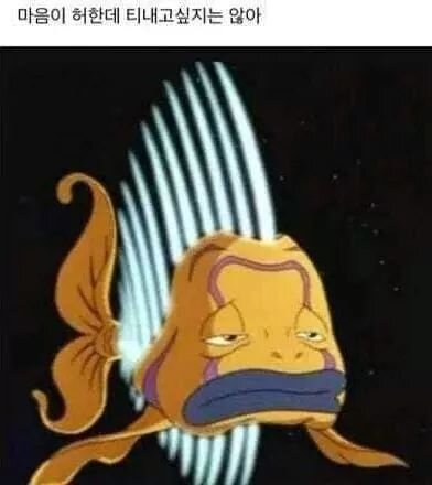 마음이 허한데 티내고싶지는 않아