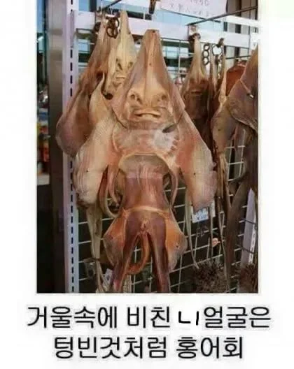 거울속에 비친 니얼굴은 텅빈것처럼 홍어회