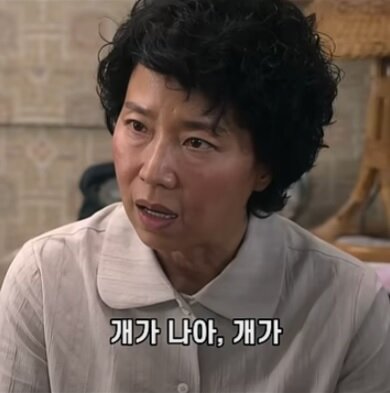 개가 나아 인간 쓰레기