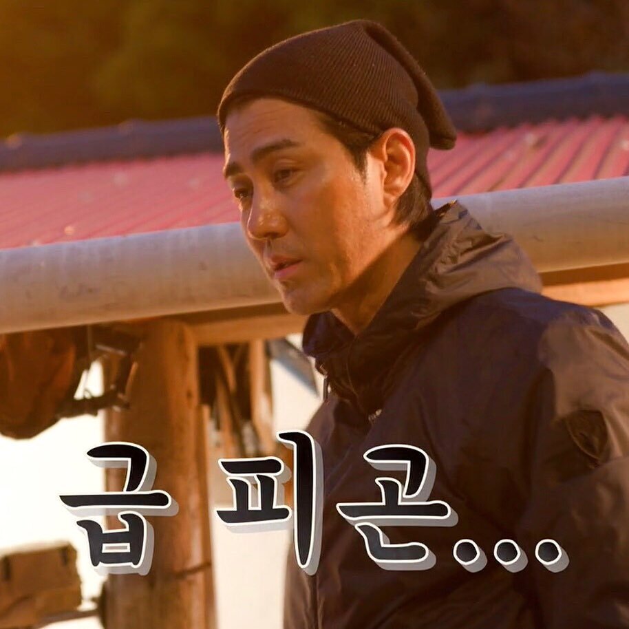 삼시세끼 급피곤 차승원