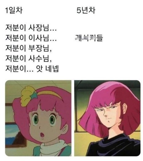 회사 직장 1일차 5년차 사장님 이사님 부장님 사수님 개새끼들
