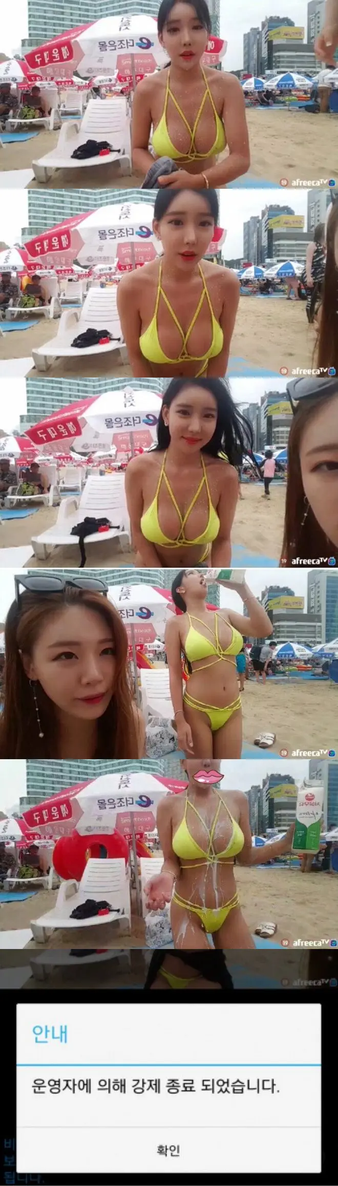 아프리카 어느 BJ방송이 강제종료된 이유