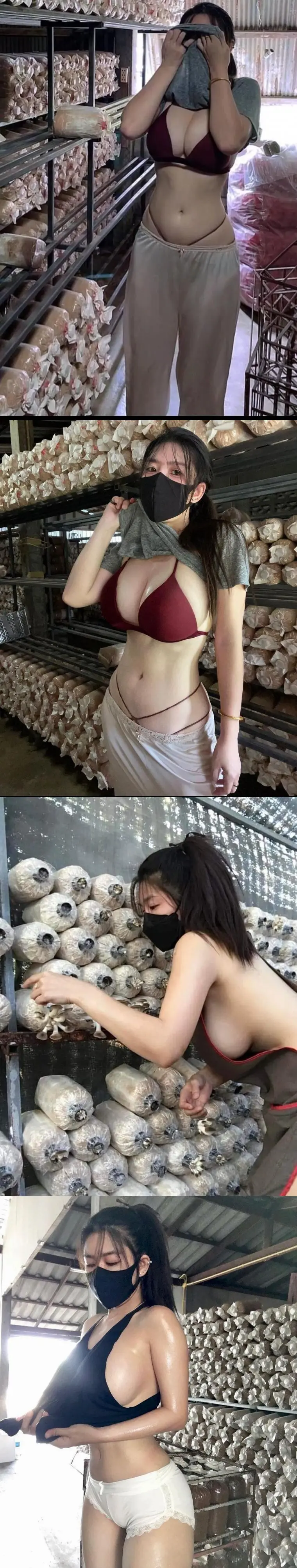 동탄에서 버섯 키우는 처자