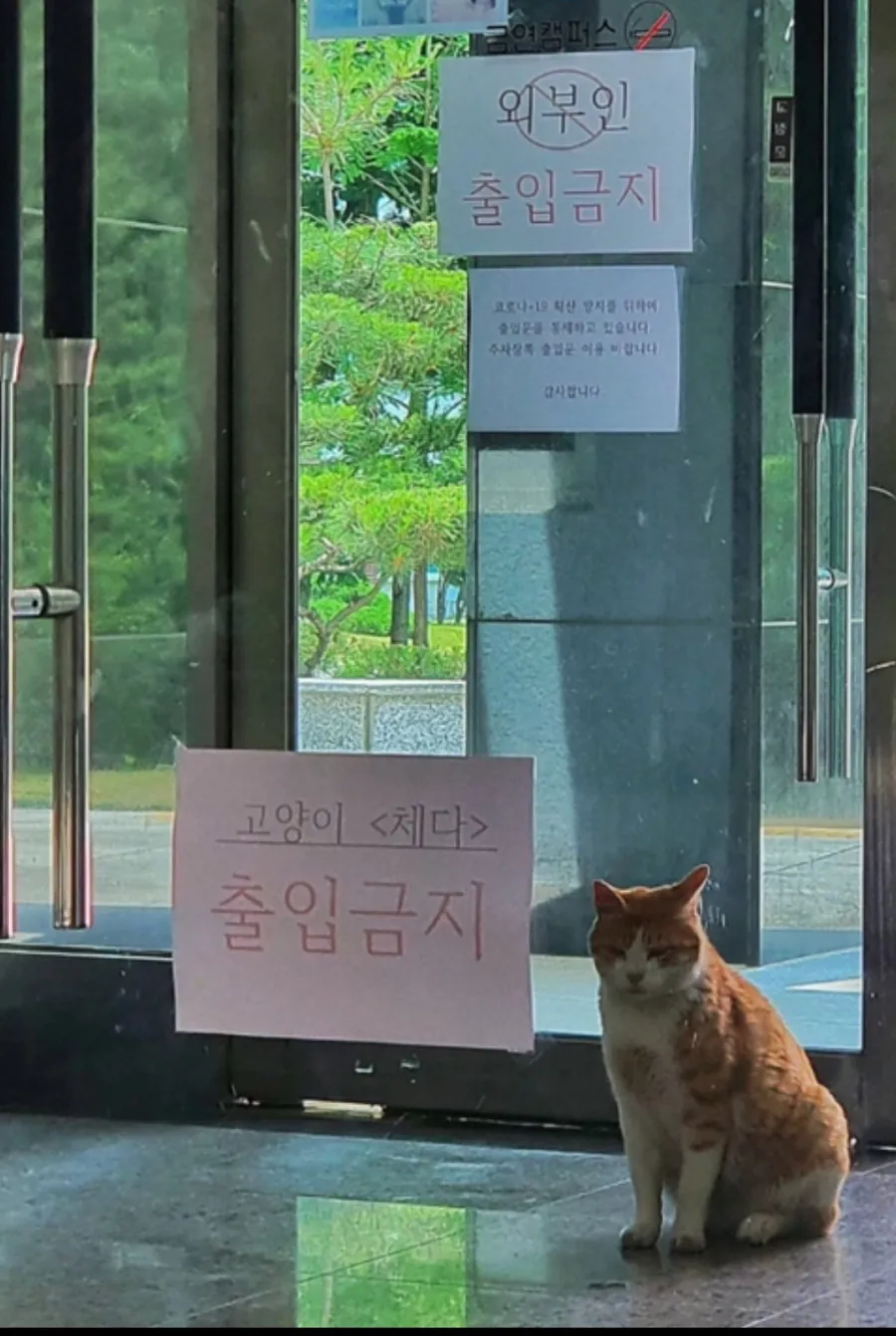 출입금지